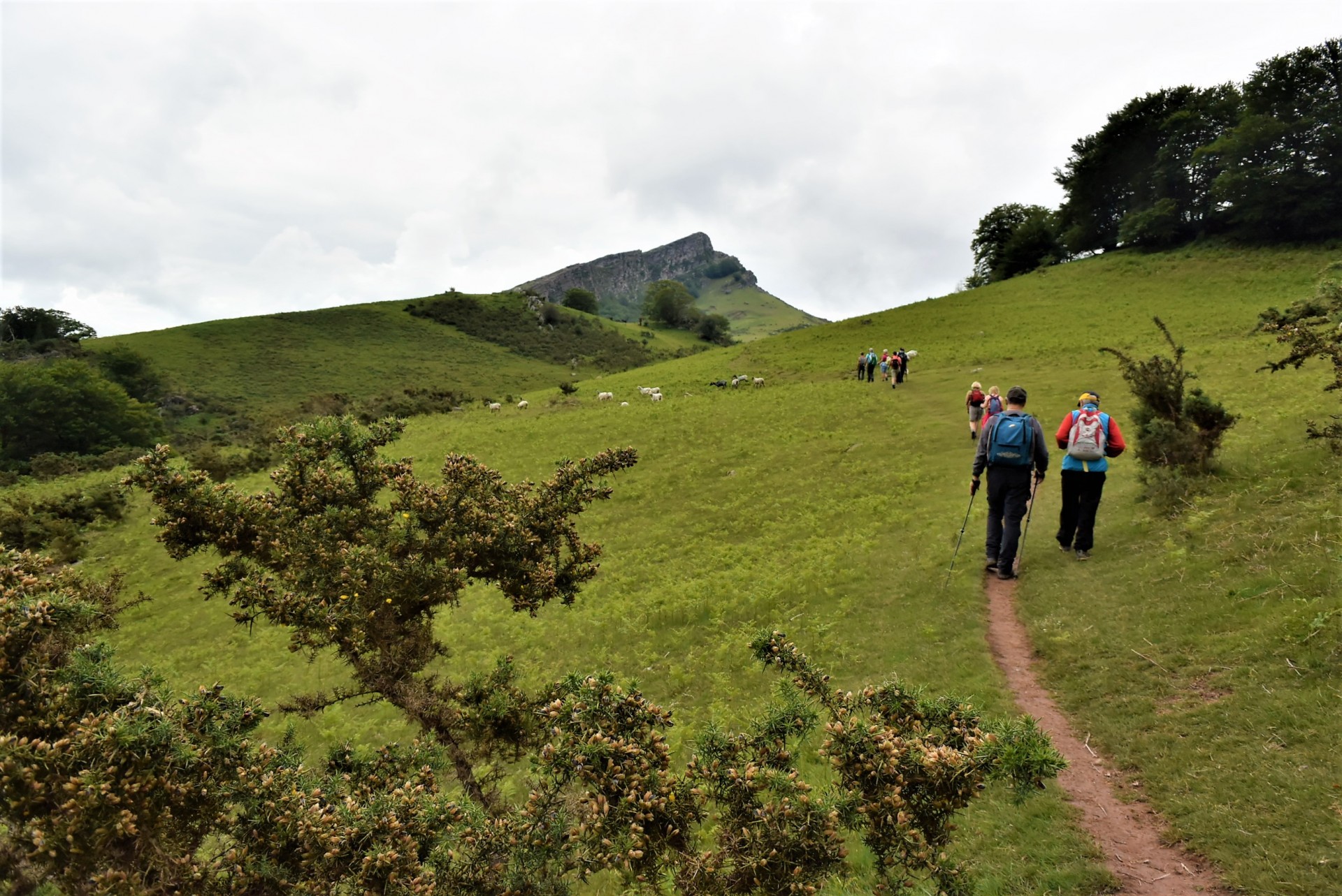 Rando la grange palombieres 15 juin 2019 0053