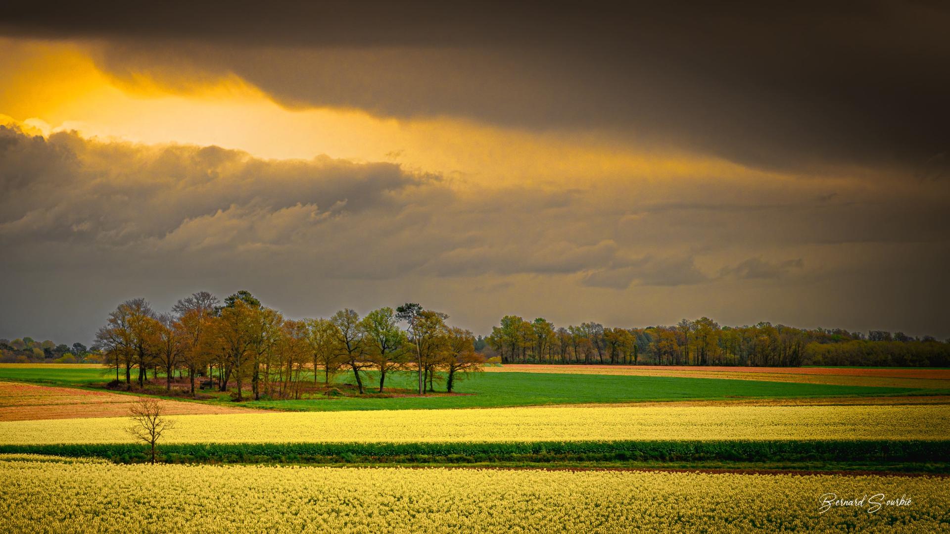 Plaine agricole landaise pays grenadois